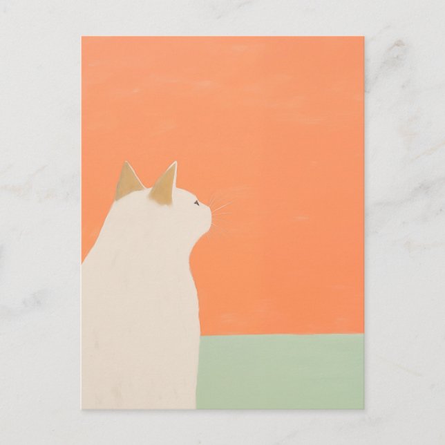 Carte Postale Chat blanc (Devant)