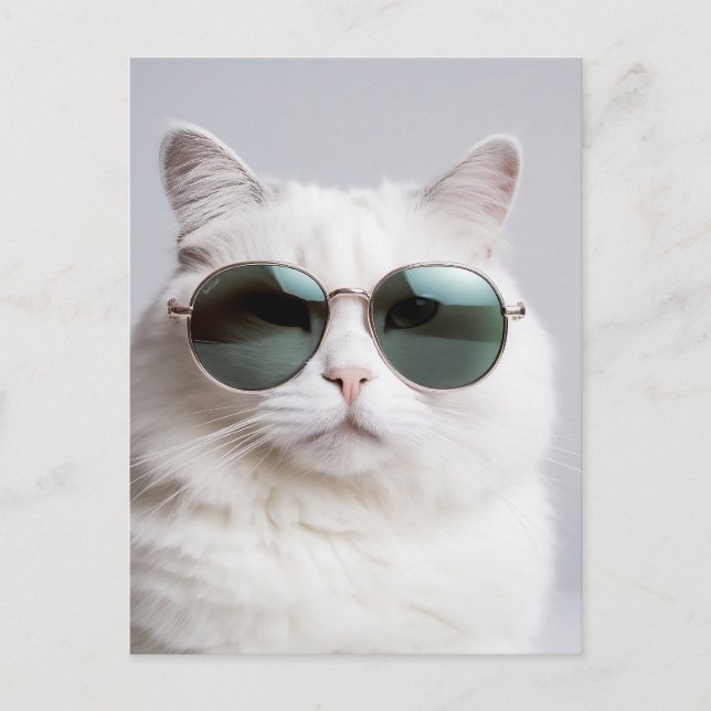 Carte Postale Chat blanc avec lunettes de soleil, félin cool, ch (Devant)