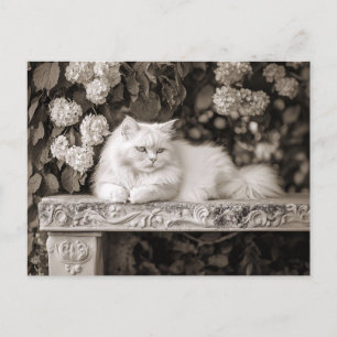 Carte Postale Chat blanc dans le Jardin des Fleurs