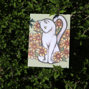Carte Postale Chat blanc Fleurs de marguerite Chats
