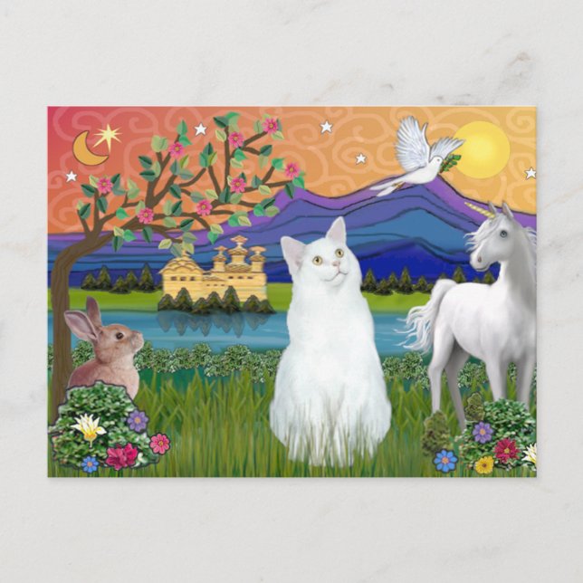 Carte Postale Chat Blanc - Pays Fantastique (Devant)