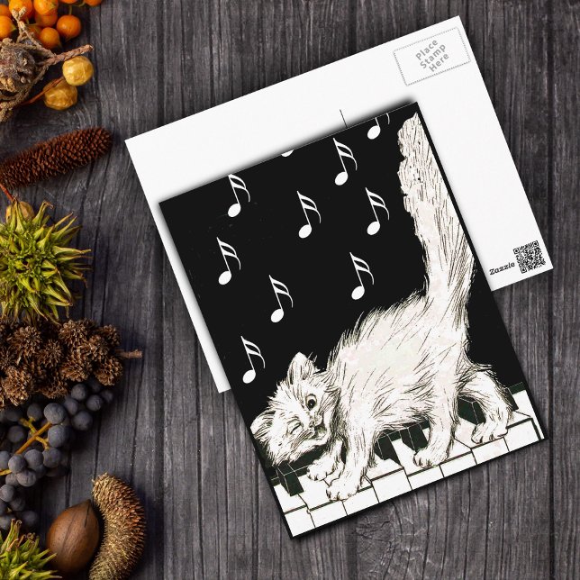 Carte Postale Chat blanc sur clés de piano (White winking cat walking on piano keys music notes on black and white post card.)