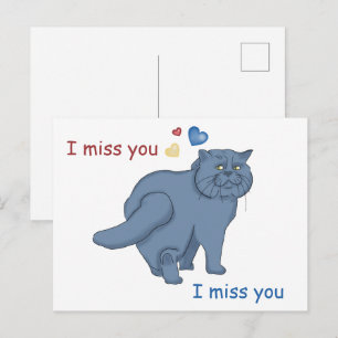 Carte Postale Chat britannique triste. Tu me manques