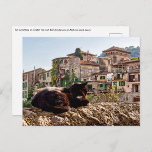 Carte Postale Chat bronzage sur un mur - Valldemossa, Majorque