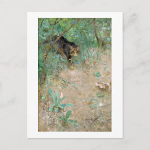 Carte Postale Chat, Bruno Liljefors