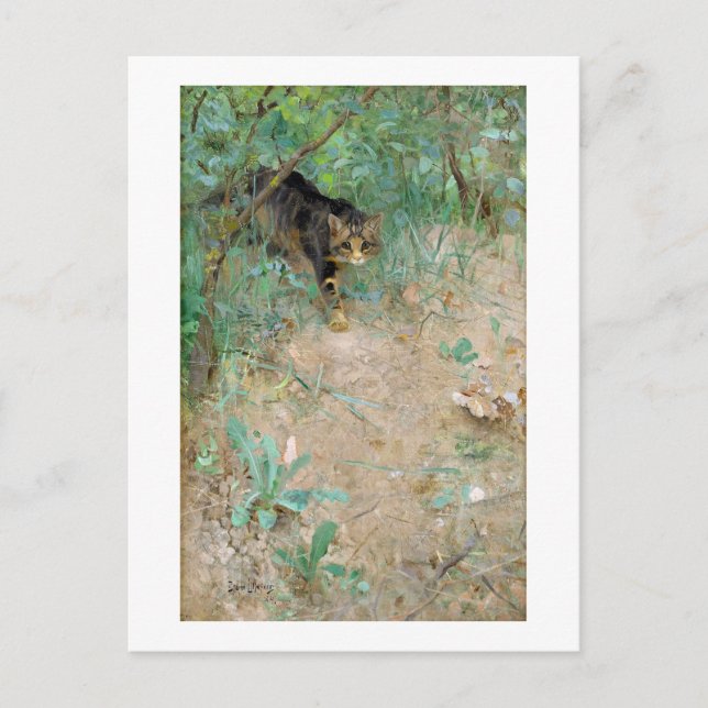 Carte Postale Chat, Bruno Liljefors (Devant)