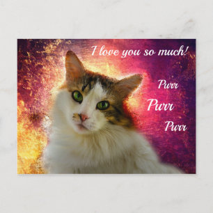 Carte Postale Chat calico adorable et mignon