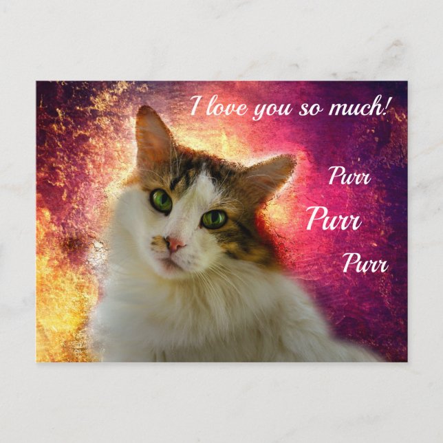 Carte Postale Chat calico adorable mignon (Devant)