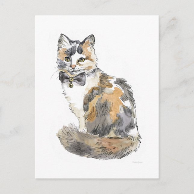 Carte Postale Chat Calico Fancy (Devant)