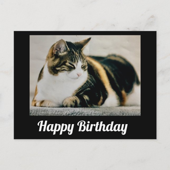 Carte Postale Chat calicot endormi Joyeux Anniversaire (Devant)