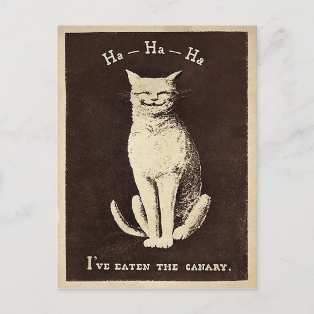 Carte Postale Chat canari vintage (Devant)