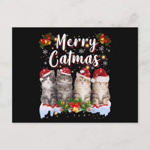 Carte Postale Chat Chapeau de Noël de Père Noël Drôle de Catmas 