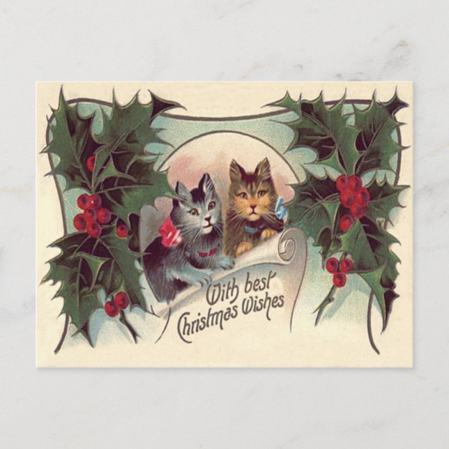 Carte Postale Chat Chaton Holly (Devant)