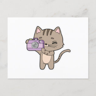 Carte Postale Chat comme photographe avec appareil photo