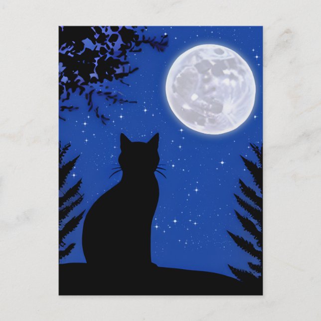 Carte Postale Chat contemplant la pleine lune  (Devant)