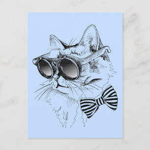 Carte Postale Chat cool
