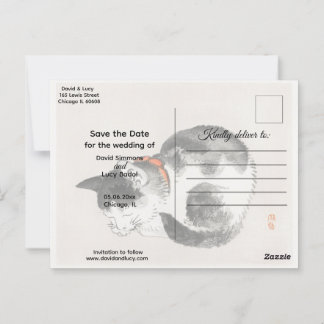 Carte Postale Chat couché