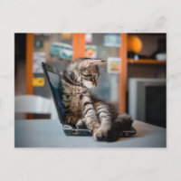 Chat couché sur le Carnet