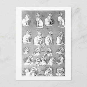 Carte Postale Chat, Courtoisie & Mariage, Mariée, Louis Wain