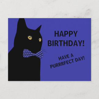 Carte Postale Chat d'Anniversaire Noir Joyeux avec Cravate Bleu 
