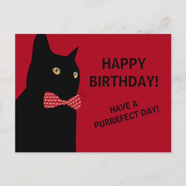 Carte Postale Chat d'Anniversaire Noir Joyeux avec une Cravate d (Devant)
