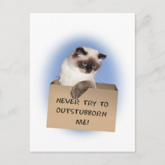 Carte Postale Chat dans la boîte