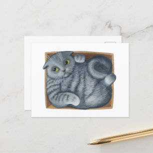 Carte Postale Chat dans la boîte