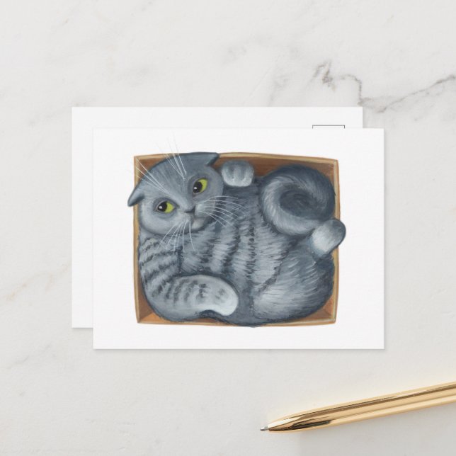 Carte Postale Chat dans la boîte (Devant/Arrière en situation)
