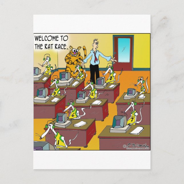 Carte Postale Chat Dans La Course De Rat (Devant)