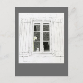 Carte postale Chat dans la fenêtre