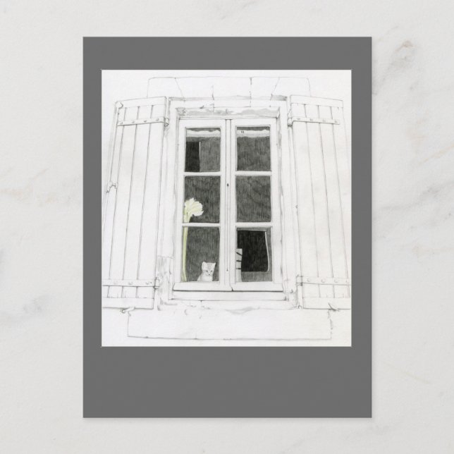 Carte postale Chat dans la fenêtre (Devant)
