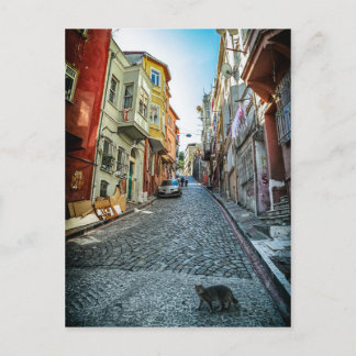 Carte Postale Chat dans la rue d'Istanbul