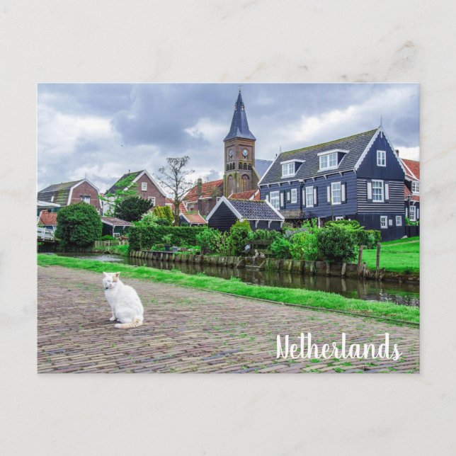 Carte Postale Chat dans le village de pêcheurs traditionnel (Devant)