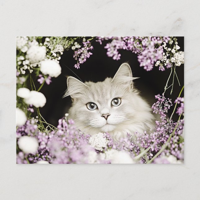 Carte Postale Chat dans les fleurs (Devant)