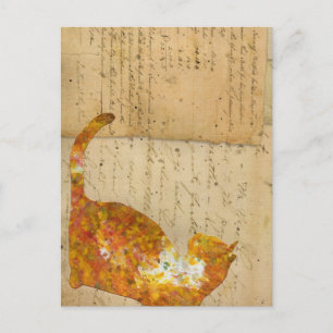 Carte Postale Chat de beaucoup de mots