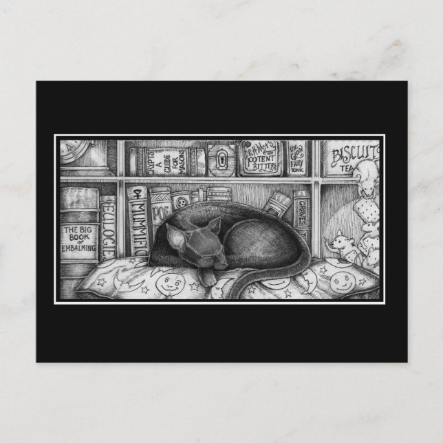 Carte Postale Chat de bibliothèque victorienne