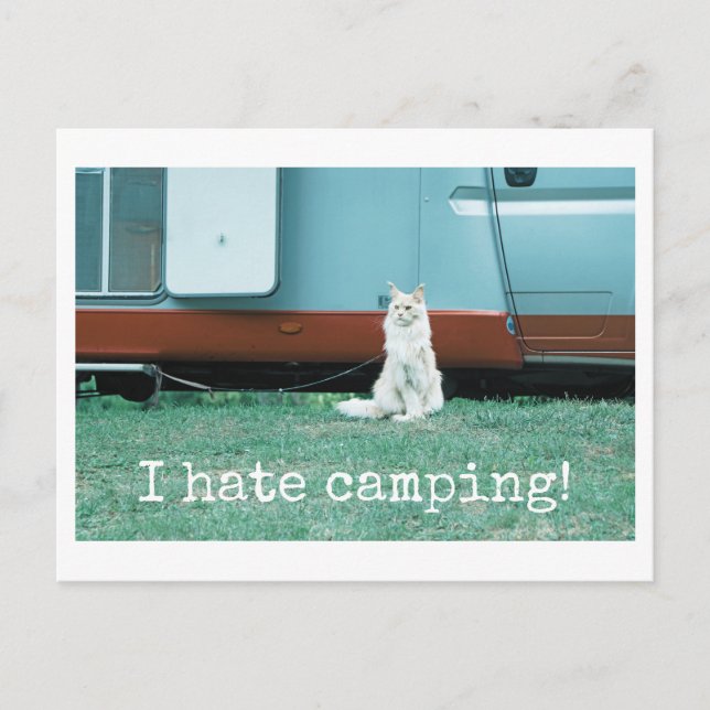 Carte Postale Chat de camping (Devant)