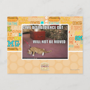 Carte Postale Chat de désobéissance civile