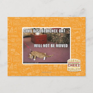Carte Postale Chat de désobéissance civile
