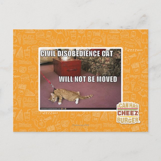 Carte Postale Chat de désobéissance civile (Devant)
