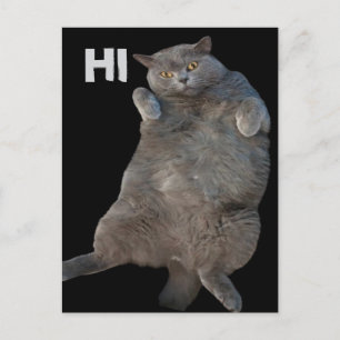 Carte Postale Chat de graisse de Shorthair britannique posé sur
