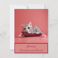 Chat de janvier mignon avec oeillets