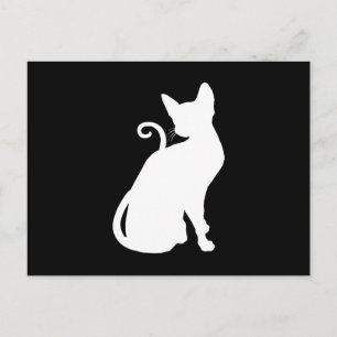 Carte Postale Chat de la Maison Blanche