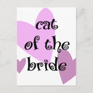 Carte Postale Chat de la mariée