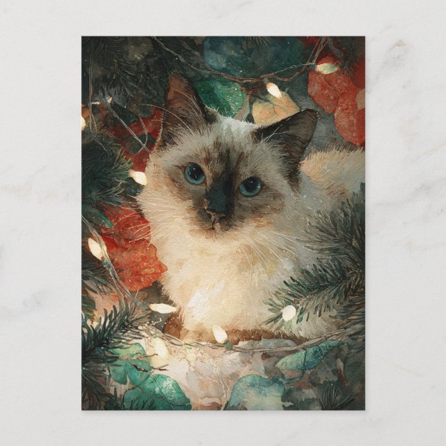 Carte Postale Chat de Noël au point siamois (Devant)