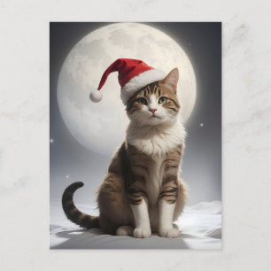 Carte Postale chat de noël dans la nuit