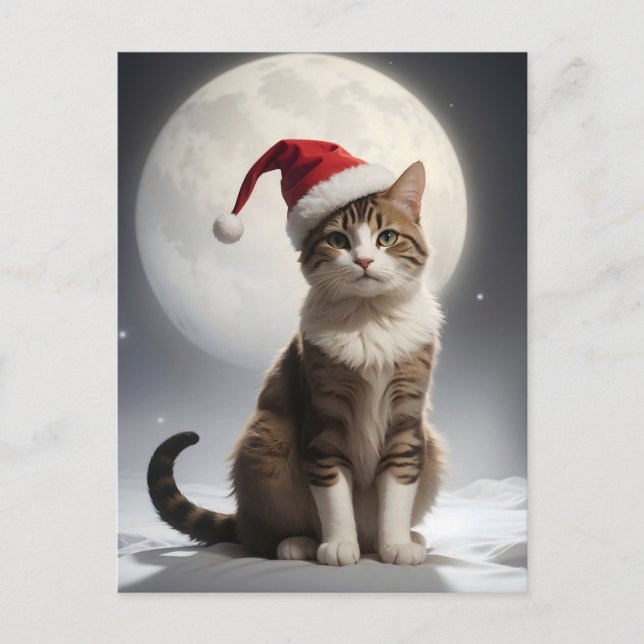 Carte Postale chat de noël dans la nuit (Devant)