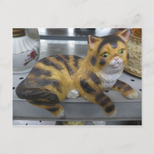 Carte Postale Chat de plateau (Devant)