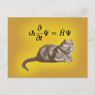 Carte Postale Chat de Schrodinger