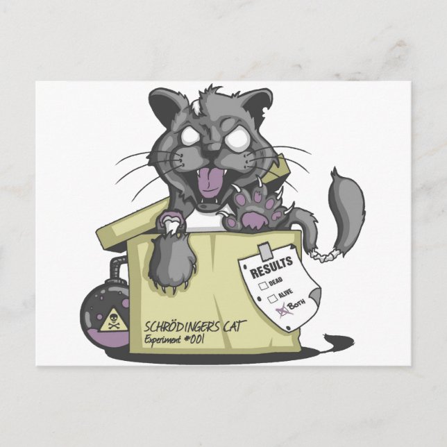 Carte Postale Chat de Schrodinger - Nouveau (Devant)